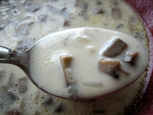 Close up image of a spoon full of cream of mushroom soup.
