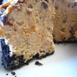 Chocolate peanut butter torte with a slice removed showing the texture.