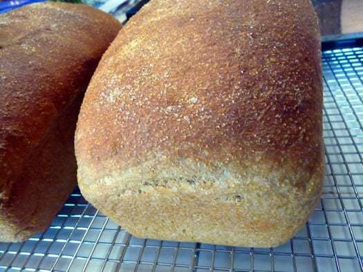2 loaves of anadama bread on a cooling rack.