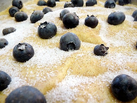 Blueberry butter cake batter in a pan before baking.