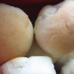 Sweet dinner rolls.