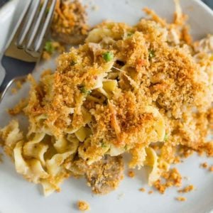 An overhead shot of a plate of turkey tetrazzini.