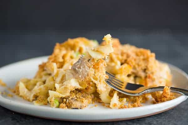 A plate of turkey tetrazzini with the fork picking up noodles and a mushroom.