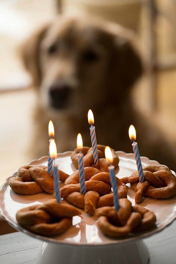 Sweet Potato Pretzel Dog Treats