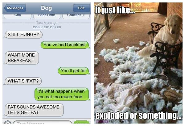 Einstein, in a nutshell