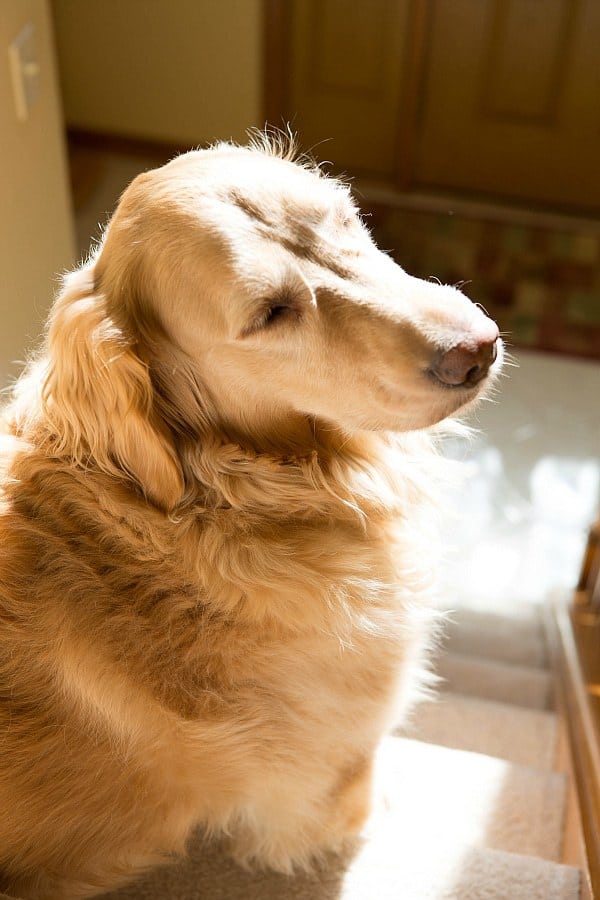 "No more pictures, please!"