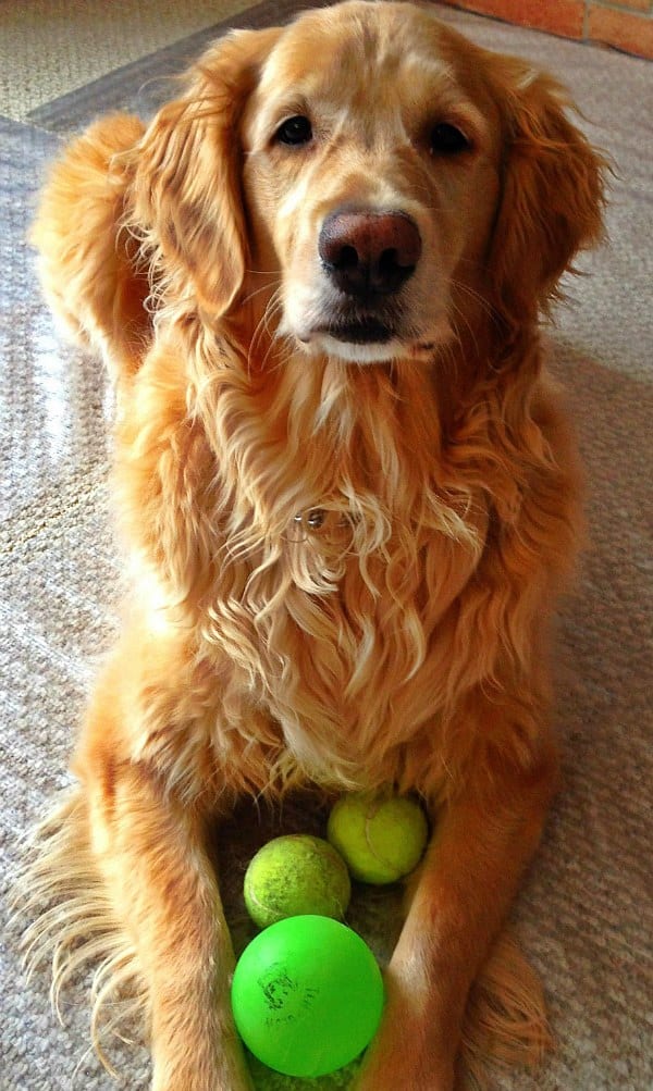 Einstein! Play time!