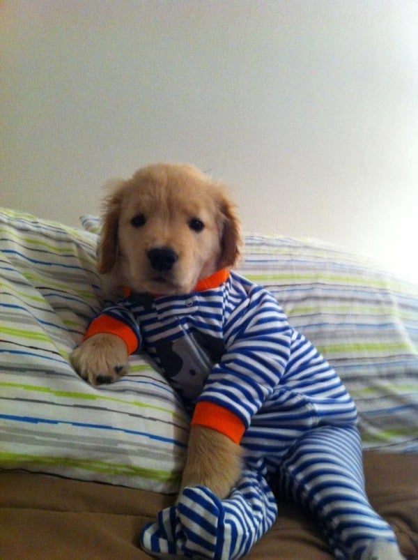 Pajama Party!