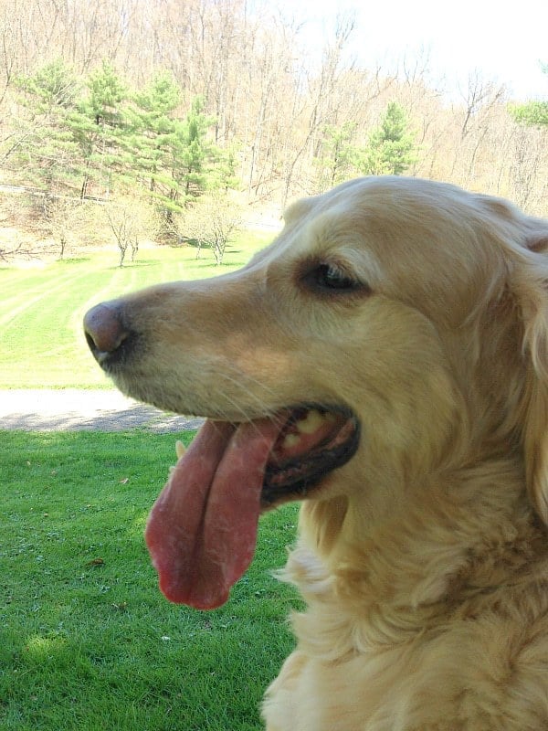 Einstein takes a shade break!