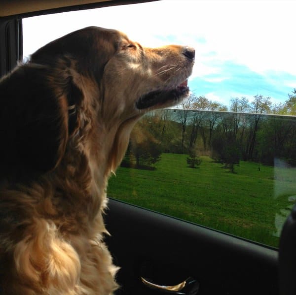 Einstein loving life 