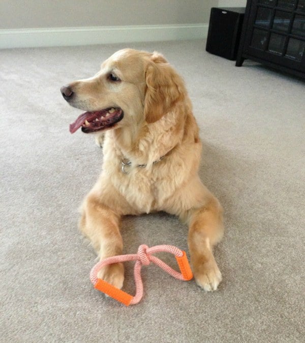 Einstein and his new toy