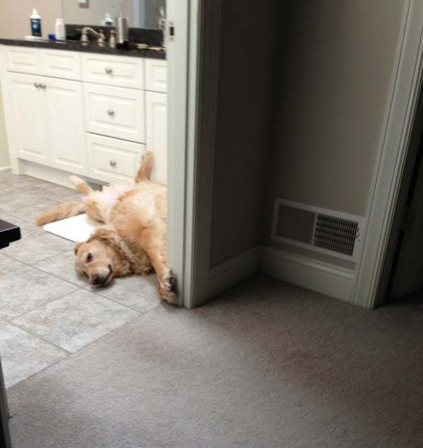 Einstein snoozing in the bathroom