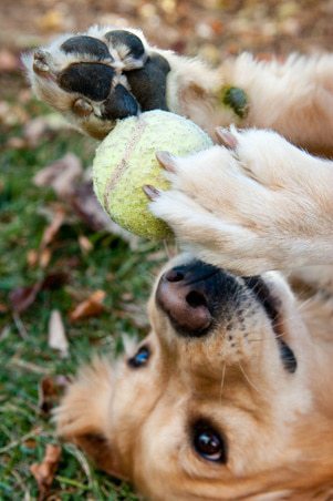 Source: Amanda Evans Photography