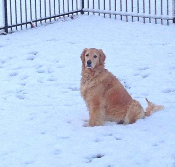 Einstein in the snow