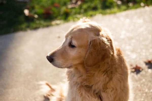 Einstein - November 2013