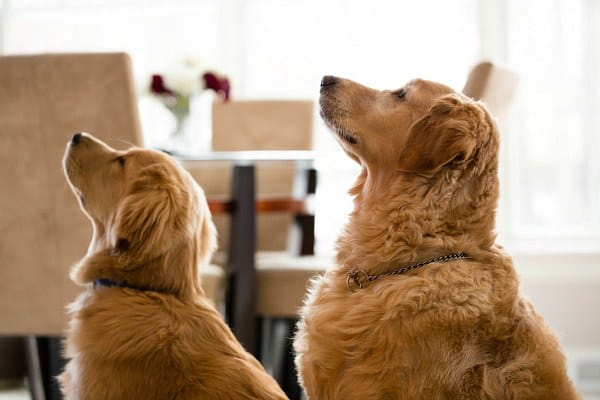 Christmas Eve morning 2013