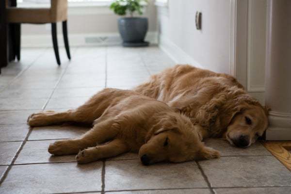 thanksgiving2013-18-2