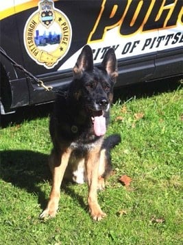 Rocco the K-9 Officer