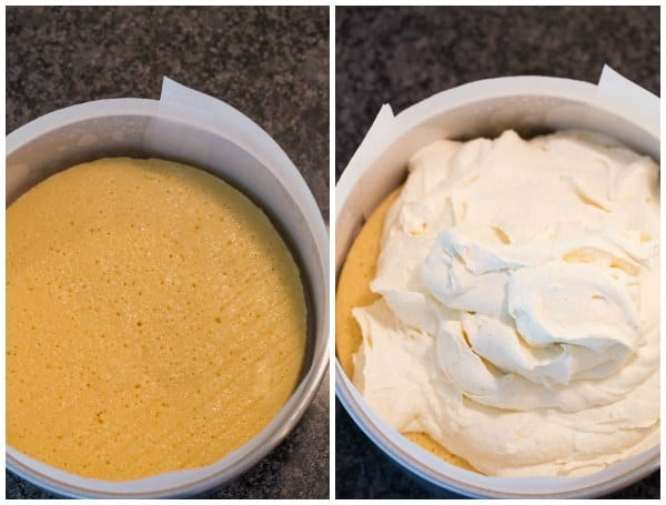 Double Vanilla Ice Cream Cake | browneyedbaker.com #recipe