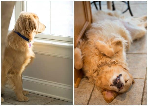 duke-einstein-feb2014