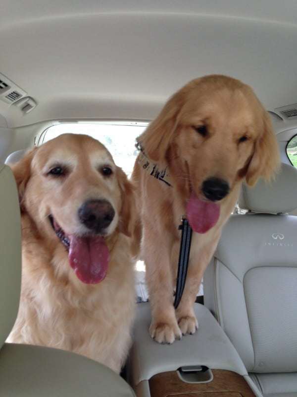 Einy and Duke are back!