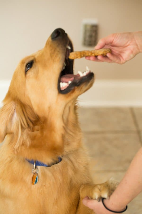 Homemade Peanut Butter-Bacon Dog Treats | browneyedbaker.com