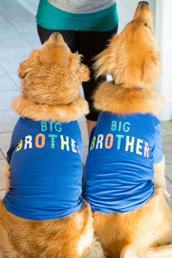 We're having a baby!