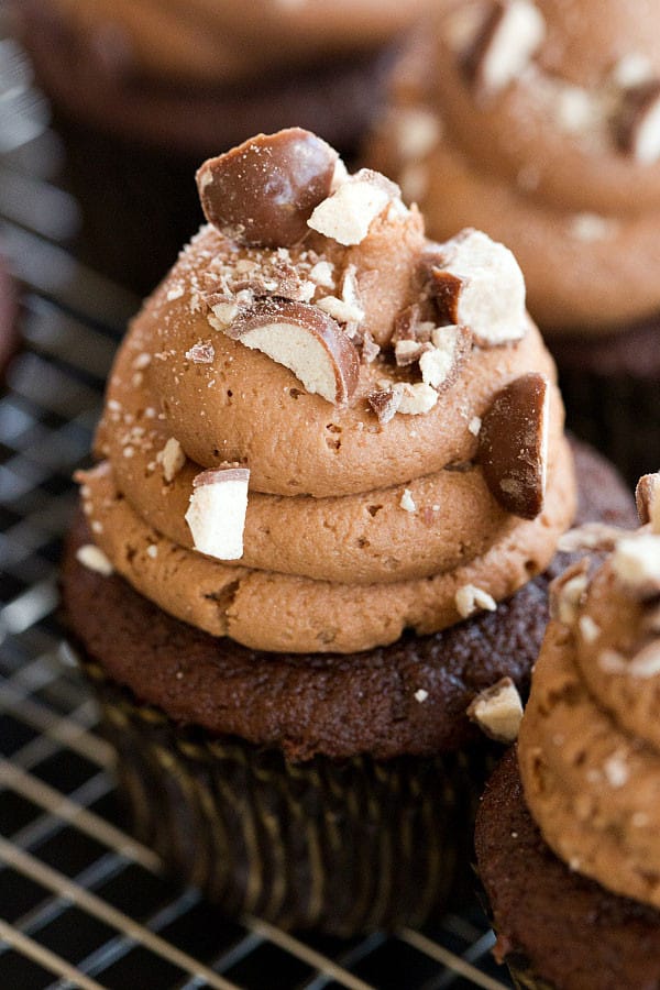 Malted Milk Chocolate Cupcakes - Both the cupcakes and the frosting are infused with malted milk powder. | browneyedbaker.com