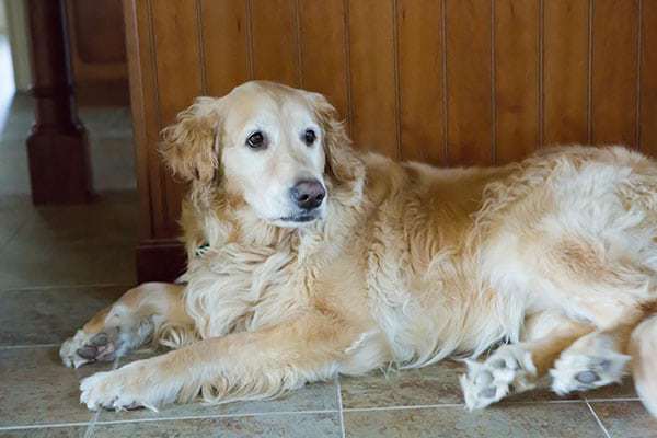 Einstein in one of his new spots