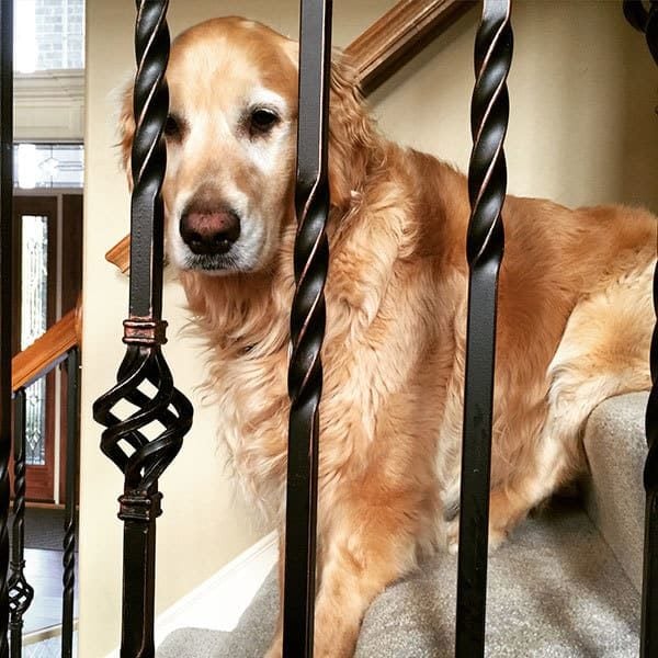 Einstein keeping watch