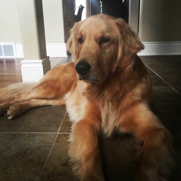 Duke's 2nd birthday!