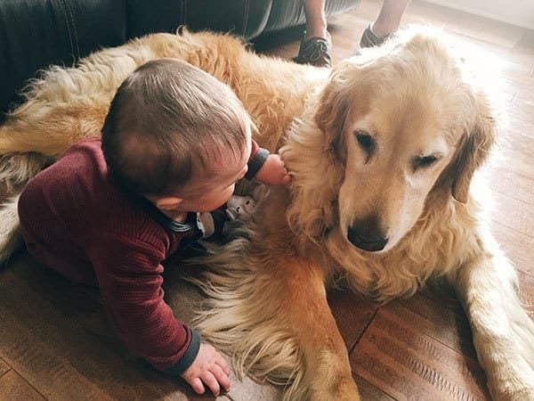 Joseph and Einstein having a serious talk. | browneyedbaker.com