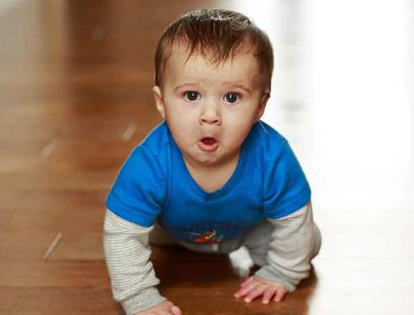 Joseph David - Almost 8.5 months old! | browneyedbaker.com