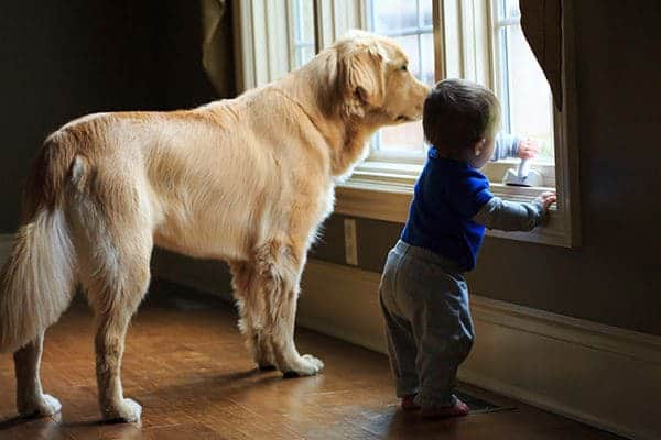 Duke & Joseph getting into trouble together