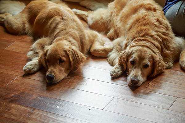 Joseph David - Almost 8.5 months old! | browneyedbaker.com