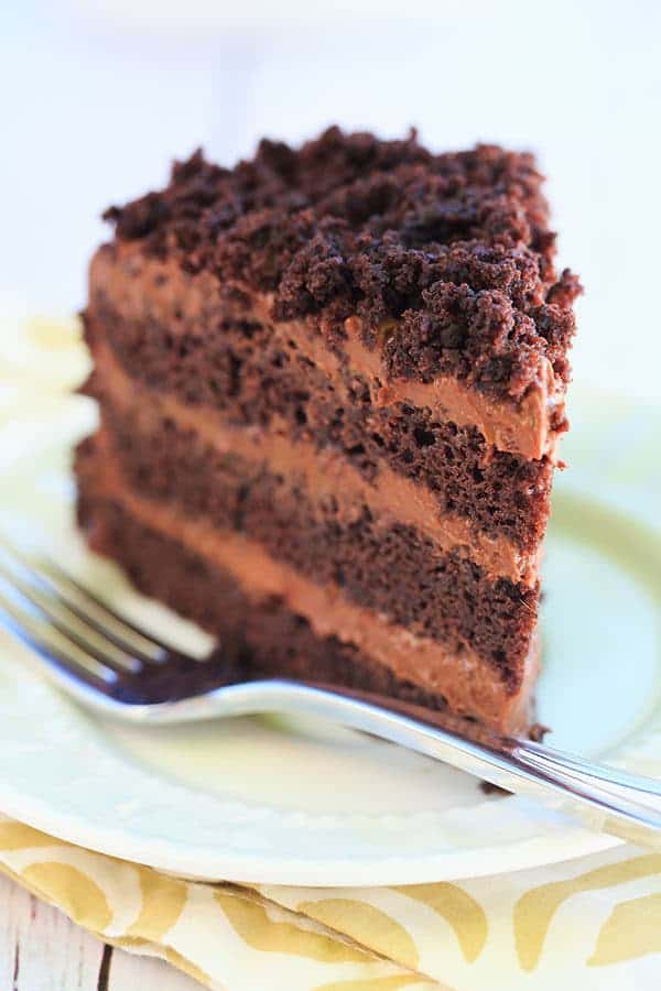 Chocolate Blackout Cake - Filled and frosted with a rich chocolate pudding and coated in cake crumbs! | browneyedbaker.com