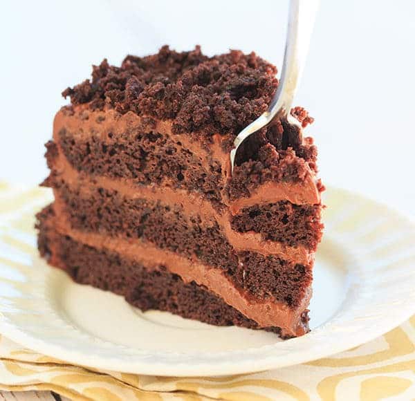 Chocolate Blackout Cake - Filled and frosted with a rich chocolate pudding and coated in cake crumbs! | browneyedbaker.com