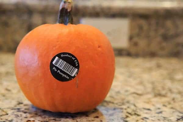 DIY: How to Make Homemade Pumpkin Puree | https://apex-male.info/homemade-pumpkin-puree-recipe/