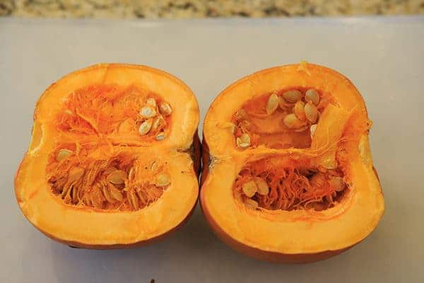 DIY: How to Make Homemade Pumpkin Puree | https://apex-male.info/homemade-pumpkin-puree-recipe/