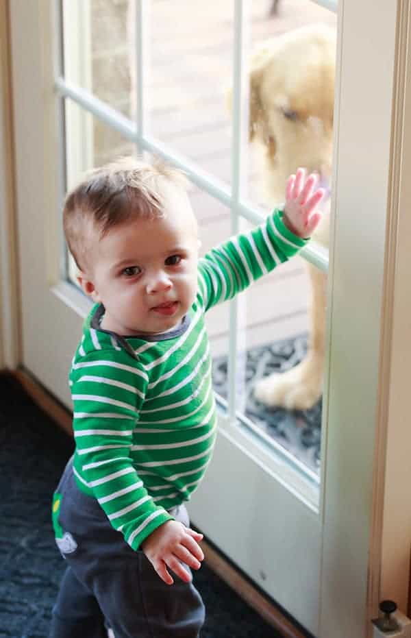 Joseph wants us to let Duke inside!