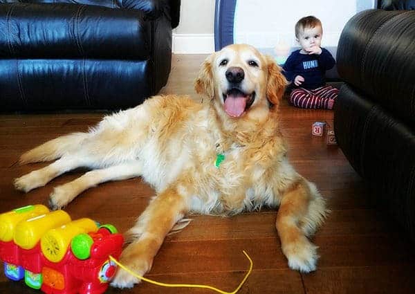 Einstein and Joseph - 9.5 months