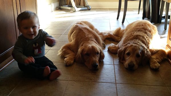 Joseph, Duke and Einstein - Buddies for life!