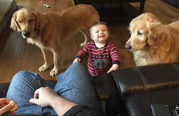 Duke, Joseph & Einstein begging for snacks
