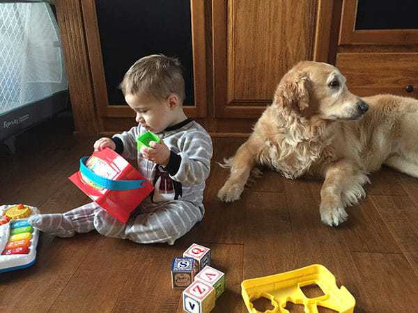 Einstein babysitting Joseph while he plays
