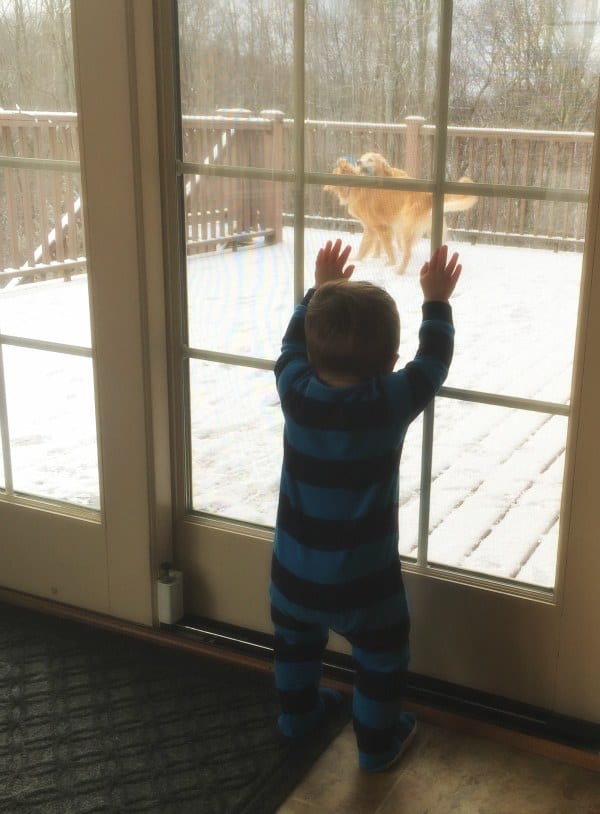 Joseph dying to go outside and play with Duke and Einstein!