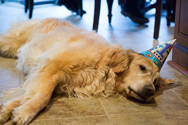 Joseph's 1st Birthday Party! | browneyedbaker.com