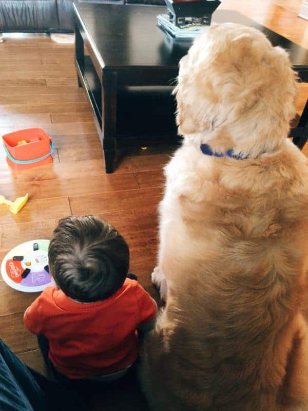 Joseph and Einstein - bosom buddies :)