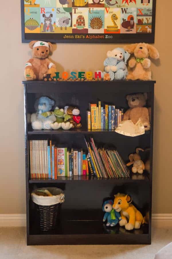 bookshelf-2-2