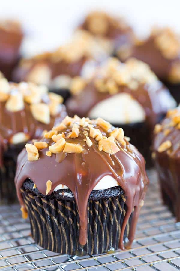 These Snickers cupcakes taste JUST like the candy bar... A chocolate cupcake filled with peanut nougat, topped with a caramel buttercream frosting, covered in a chocolate ganache, chopped peanuts and a drizzle of caramel sauce.