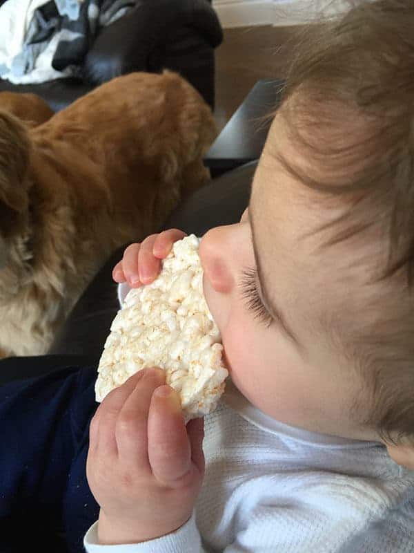 Joseph munching on a rice cake